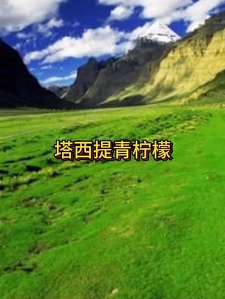 你真的永远可以相信都乐的品质!皮薄多汁,颗颗无籽果肉饱满,泡出来的柠檬水酸甜清爽巨好喝!#塔西提柠檬 #青柠 #都乐#在抖音入手的好东西 #无限回购的宝藏单品