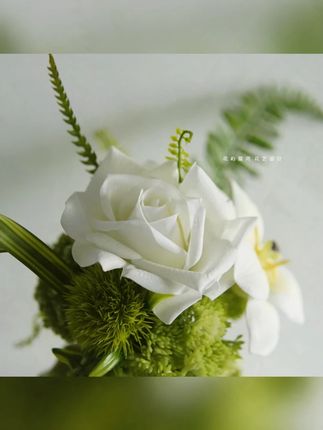 花屿星河|设计师 手感保湿仿真花清新白绿色餐桌花茶几装饰摆件#装饰摆件 #摆件 #摆件推荐 #家用摆件 #餐桌摆件 @DOU+上热门 @巨量千川 @小店随心推