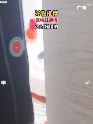 #萌宠日常记录 #梳毛 #猫咪剃毛