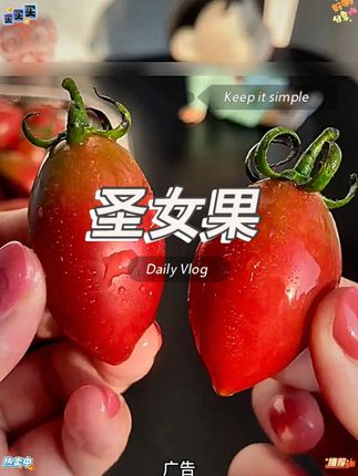 #应季水果 #紫弹头小番茄 #太好吃了 #好吃到停不下来 #酸甜可口