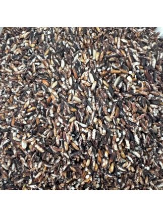 去皮黑糯米免泡发#去皮黑糯米免 #纯天然无添加 #五谷杂粮 #黑米