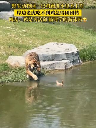 初中道法和历史总是拿不了高分的原因,是因为没有掌握答题技巧#道法历史 #答题模版 #道法历史答题模板