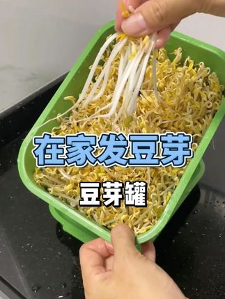 发豆芽器快速发豆芽家用种植水培豆芽盆发芽机收纳盒 #发芽机收纳盒 #发芽机收纳盒分享 #发芽机收纳盒推荐 #豆芽盆 #豆芽盆分享