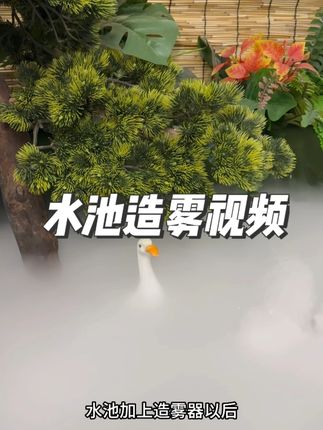水池造雾视频 #人造雾 #假山流水喷泉 #假山流水 #微景观 #仙气飘飘
