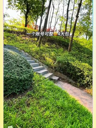 一个账号可整4包洁柔#洁柔抽纸 #一起撸羊毛 #好用的大包纸巾推荐 #超便宜超划算 #新人福利第一单