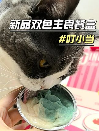 超绝双色主食餐盒,一盒6个口味,小猫每天吃不重样, 根本吃不腻,快给毛孩子安排上吧!#萌宠好物 #养猫人 #养猫新手 #叮小当