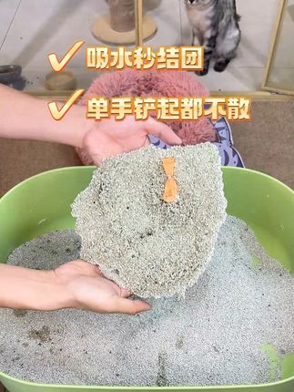 破价 两件八折 #猫砂#猫#猫咪的迷惑行为#矿砂#萌宠
