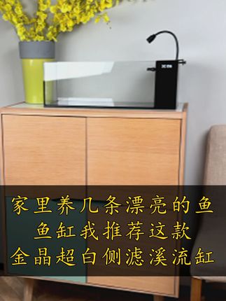 家里一定要养几条漂亮的鱼,鱼缸我推荐这款金晶超白侧滤溪流缸 #鱼缸 #溪流缸 #原生溪流缸 #金晶超白 #树净