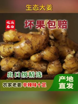 吃过就会回购的有机生姜,味正且浓,好吃又健康!全家都爱吃!#生姜 #生姜 #农产品 #好物推荐🔥 #好物种草