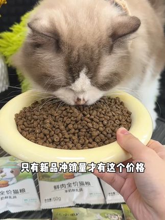 江小傲羊奶鲜肉粮9.9到手足足小半斤,大牌子库存不多,赶紧叫上朋友一起冲#萌宠好物 #新手养猫 #江小傲 #猫粮