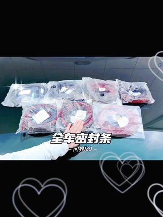 问界车主必看,一招解决车门漏风 风噪大,密封性直接拉满! #问界M9 #问界M5 #问界m8 #问界m7 #问界