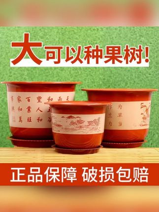 加厚大号塑料花盆仿陶瓷果树花盆加厚树脂盆绿植花盆批发 #花盆 #塑料花盆 #加厚塑料花盆 #花盆推荐 #花盆种菜