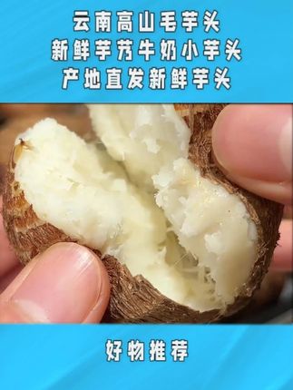 头一次吃到这么好吃的云南高山牛奶小芋头,又粉又糯又面,吃起来 还有股淡淡的奶香味z