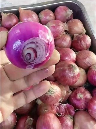 姐妹们,赶上活动抓紧囤起来。东北小毛葱,个头大,嘎嘎好,蘸酱吃,包馅,炒菜,做葱花,嘎嘎够味,这小味道纯纯小时候的味道#毛葱 #东北毛葱 #小毛葱 #毛葱炒鸡蛋 #毛葱蘸酱