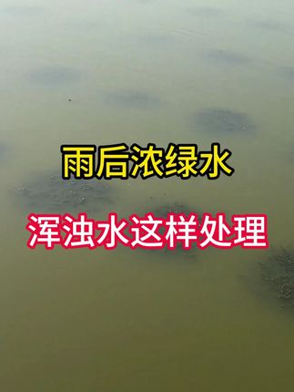 257#水产养殖 雨后倒藻类浓绿水蓝藻水缺氧亚盐使用复合肥水肽
