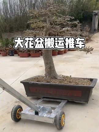 没想到还能搬大石头#小院改造 #花盆搬运车 #我的乡村生活