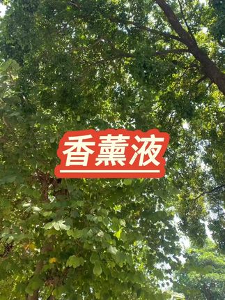 五星级酒店同款香薰补充液 #家用香薰 #空气清新 #持久留香