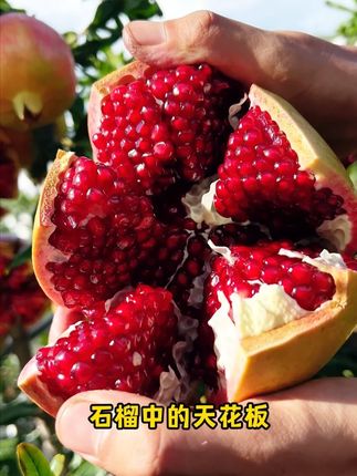 皮薄肉厚籽还软,突尼斯软籽石榴,每口都是浓甜好滋味。#新鲜应季水果 #水果 #助农 #软籽石榴