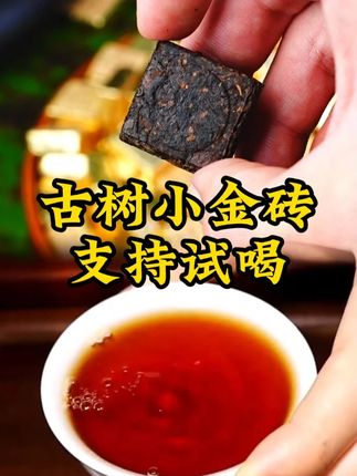 甜润普洱小金砖!试喝十颗!试喝十颗!试喝十颗! #古树茶 #普洱茶 #喝茶 #茶叶 #熟茶