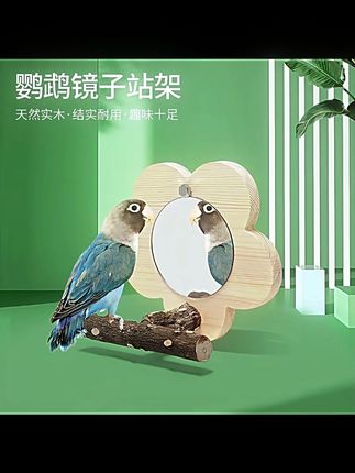 鹦鹉花椒木镜子站台玩具玄凤虎皮牡丹鸟笼站杆站杠鸟专用镜子站架 #趣味养宠 #萌宠日记 #宠物用品