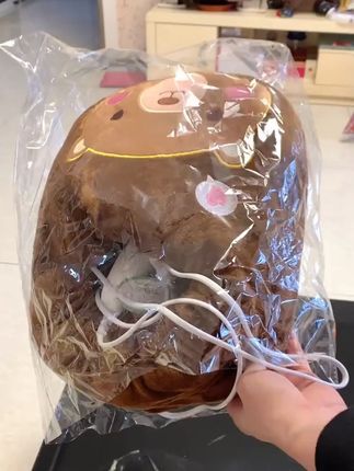 暖脚宝插电加热鞋充电办公室取暖加热暖手宝冬天家用脚冷暖脚神器 #超便宜超划算 #取暖好物 #有它就暖了 #长虹暖脚宝插电电暖鞋 #暖脚宝