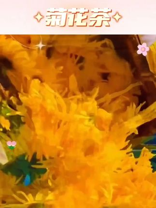 买1送1 新融茗堂 花高山金丝皇菊菊花茶一朵一杯20g罐装#菊花茶 #养生茶 #金丝皇菊 #清肝明目 #纯天然无添加