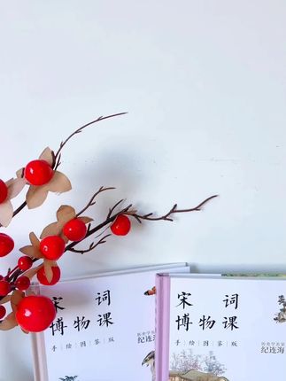 宋词博物课手绘图鉴版(全三卷)#宋词博物课 #手绘图鉴版 #宋词书籍 #传统文化 #全三卷
