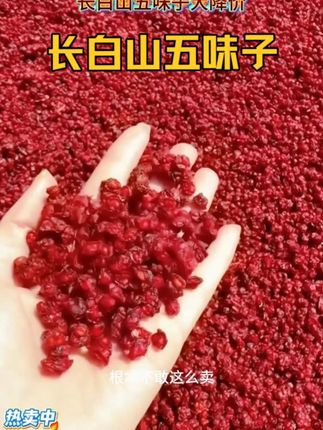 五味子源头直供超划算!厂家这价能撑多久?