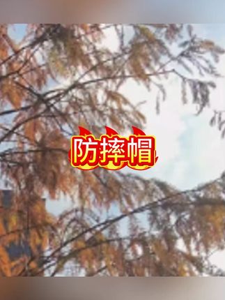 sunnybebe儿童防摔帽宝宝护头帽学步学爬防摔护头帽子#防摔帽 #宝宝帽子 #宝宝好物 #儿童好物 #母婴好物