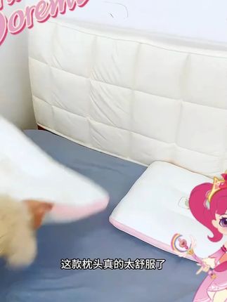 超柔枕头枕芯酒店睡觉专用护颈椎助睡眠单人天丝枕家用舒适不变形#超柔枕头 #护颈枕 #天丝枕芯 #睡眠好物 #家用枕头