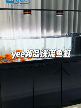 下班看到这样一台超强过滤的鱼缸,心情瞬间变好 #鱼缸 #溪流缸 #空气缸 #鱼缸客厅家用