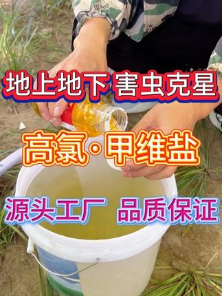 地止地下 害虫克星 高氯甲维盐 源头工厂 品质保证 #高氯甲维盐 #高氯甲维盐地上地下害虫专用 #高氯甲维盐杀虫 #杀虫剂 #杀虫剂厂家