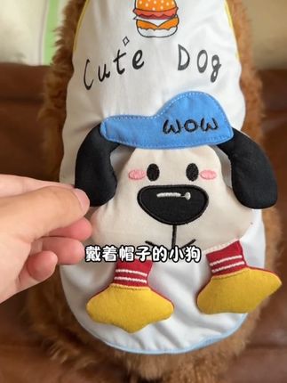 又忍不住给我家毛孩子入了一件超可爱的公仔背心,轻薄透气价格不贵,出去回头率超高#比熊宝宝 #狗狗衣服 #猫咪衣服 #宠物背心 #夏天小狗衣服