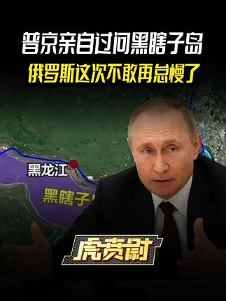 普京亲自过问黑瞎子岛,俄罗斯这次不敢再怠慢了 #硬核深度计划 #零基础看懂全球
