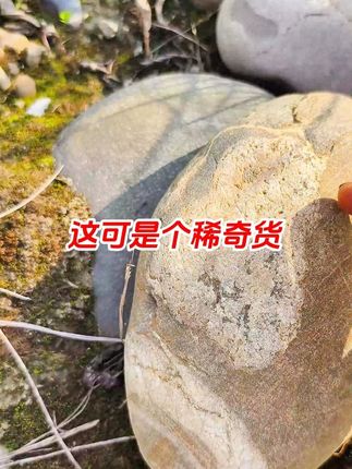 这可是个稀奇货 这可是个稀奇货#以石会友 #户外捡石 #纯天然奇石 #捡石头 #画面石