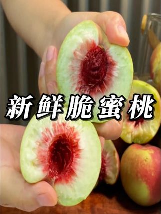 又脆又甜,嘎嘣嘎嘣脆,唇齿留香,回味无穷,桃香味特别浓郁, #脆桃 #脆蜜桃 #桃子熟了 #新鲜应季水果 #桃子