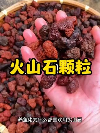 云南腾冲火山石颗粒多肉花卉拌土兰花铺面鱼缸底沙滤材铺面石#火山石颗粒 #火山石 #铺面石 #铺面石子