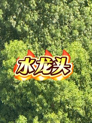 厨房全铜冷热拉伸水龙头抽拉式洗菜池水池洗碗槽可旋转龙头#水龙头 #拉伸水龙头 #抽拉式水龙头 #旋转水龙头 #厨房全铜冷热水龙头