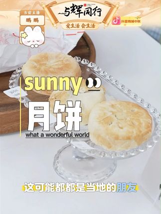 【庄里人】庄里人黄庄月饼酥皮蛋黄 酥皮红豆 酥皮板栗420g#月饼 #庄里人 #黄庄月饼 #酥皮蛋黄
