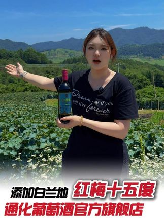 路边的山葡萄别乱采!红梅15度卖了73年,入口甜香够经典,冲 #通化葡萄酒 #好酒推荐 #红酒 #品酒品人生 #酒文化