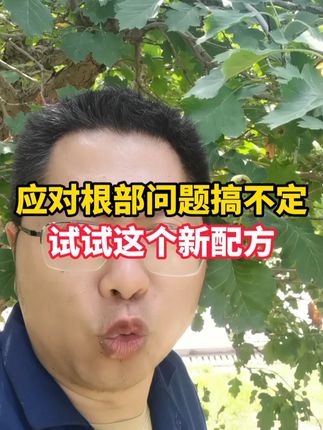 根好产量高试试这个配方,烂根青枯轻松应对! #农业种植 #根腐病防治 #果树种植 #大棚种植 #生根壮苗