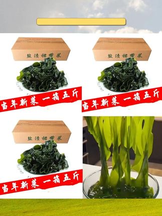 #盐渍裙带菜叶 #火锅配菜 #裙带菜海带芽 #海白菜海藻菜 #盐渍裙带菜推荐 【一箱五斤】盐渍裙带菜叶/海带芽/海白菜/海藻菜/火锅配菜