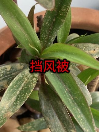#骑行防寒 #电动车配件 #冬季出行