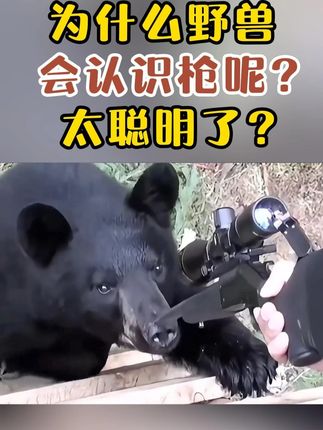 蒙古国究竟有多少寡妇?为什么野兽会认识枪呢? #涨知识 #科普 #省流侠 #冷知识 #有趣的知识又增长了