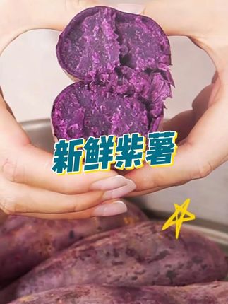 正宗沙地紫薯,粉糯香甜,拿来当早餐,做早点都非常好! #紫薯 #沙地紫薯 #紫罗兰紫薯 #红薯