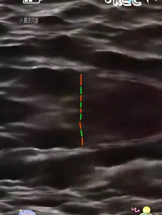 新品鸽子蛋行程夜光漂测评,圆枣核型设计,兼顾多水层鱼类,日夜两用还抗走水! #行程夜光漂 #鸽子蛋夜光漂 #夜光漂 #行程浮漂 #醒目浮漂