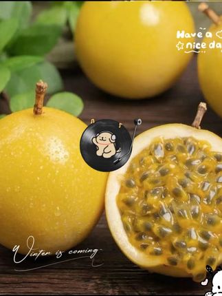 #黄金百香果 #钦蜜9号百香果 #现摘现发新鲜到家 #好吃到停不下来 #应季水果