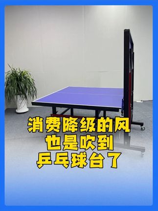 消费降级的风也是吹到乒乓球台了 #体育用品乒乓球台 #乒乓球 #乒乓球桌