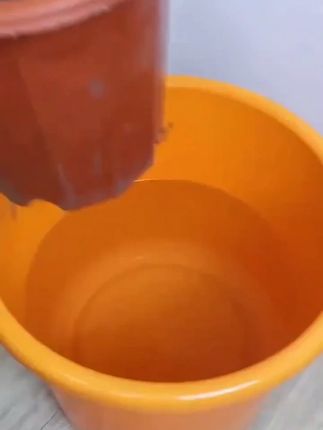 散尾葵适用营养液黄叶焦尖干枯不生长水溶肥绿叶宝叶面肥氮磷钾 散尾葵有个小怪癖,只有满足它 才能长的枝繁叶茂#散尾葵 #散尾葵干叶焦尖