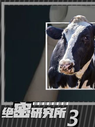 绝密研究所所长